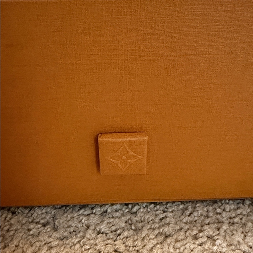 LOUIS VUITTON - Picture 6 of 6